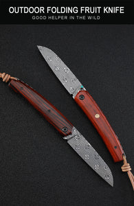 Petrified fish PF719DM Damascus Blade