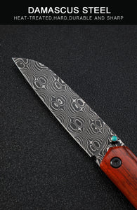 Petrified fish PF719DM Damascus Blade